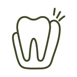 Icon of a tooth and gum area illustrating soft tissue dental injuries