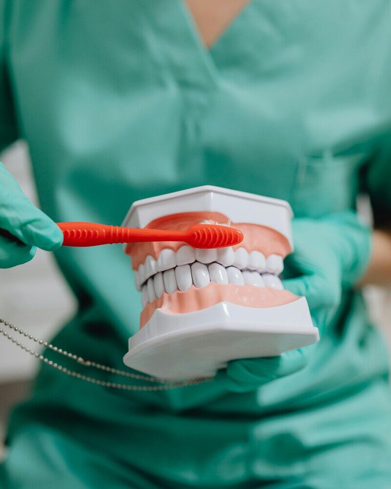 Demonstration of caring for dental implants using proper brushing technique